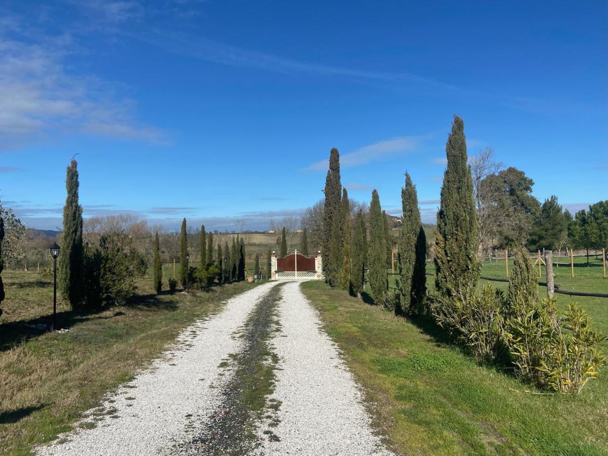 Bed And Breakfast Casale Del Sole 卡斯泰里那马里提玛 外观 照片